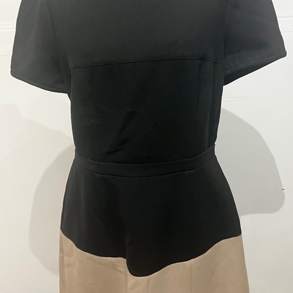 BCBG Black/Tan Colorblock Shift Dress - Picture 10 of 14